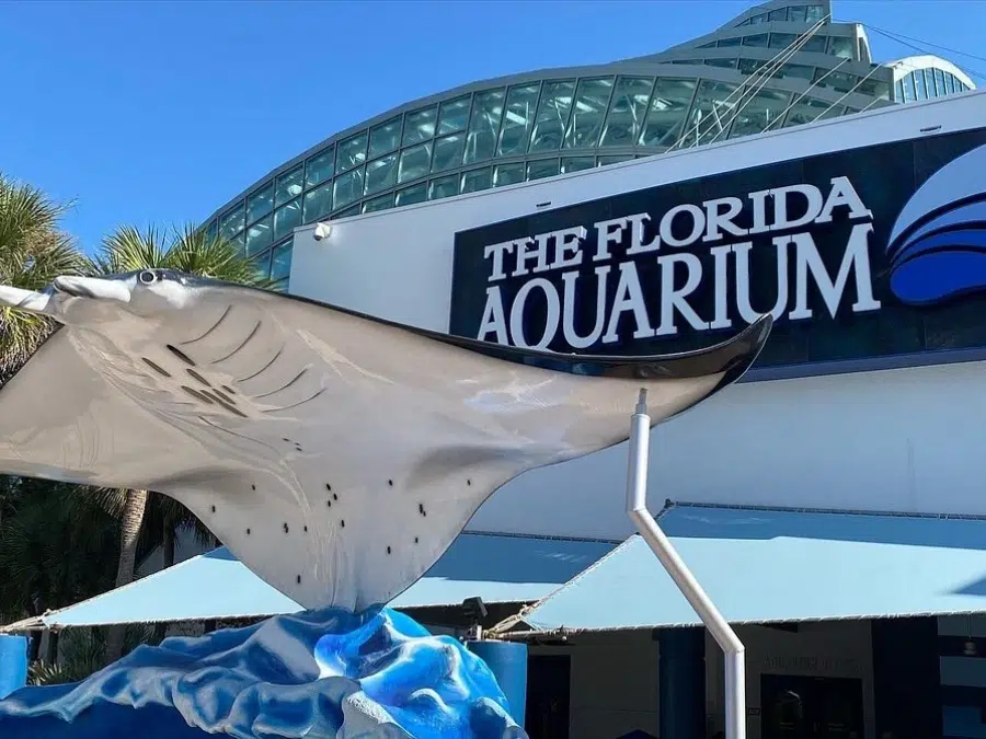 佛罗里达水族馆日程安排
