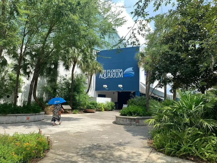 petualangan di Florida Aquarium