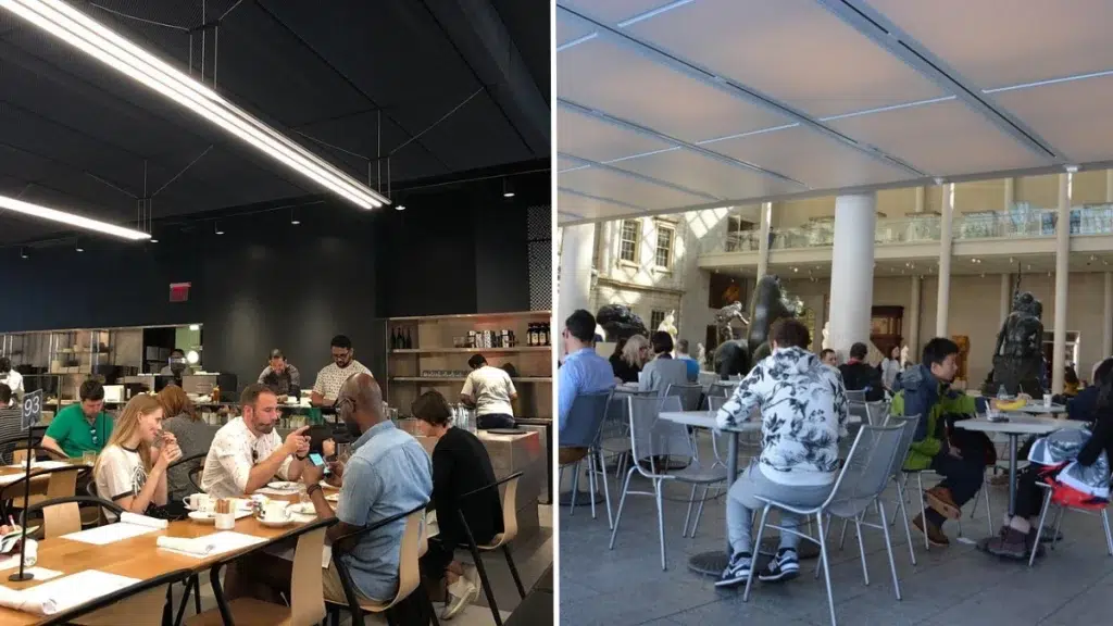 大都會藝術博物館 vs. 現代藝術博物館 – 餐飲