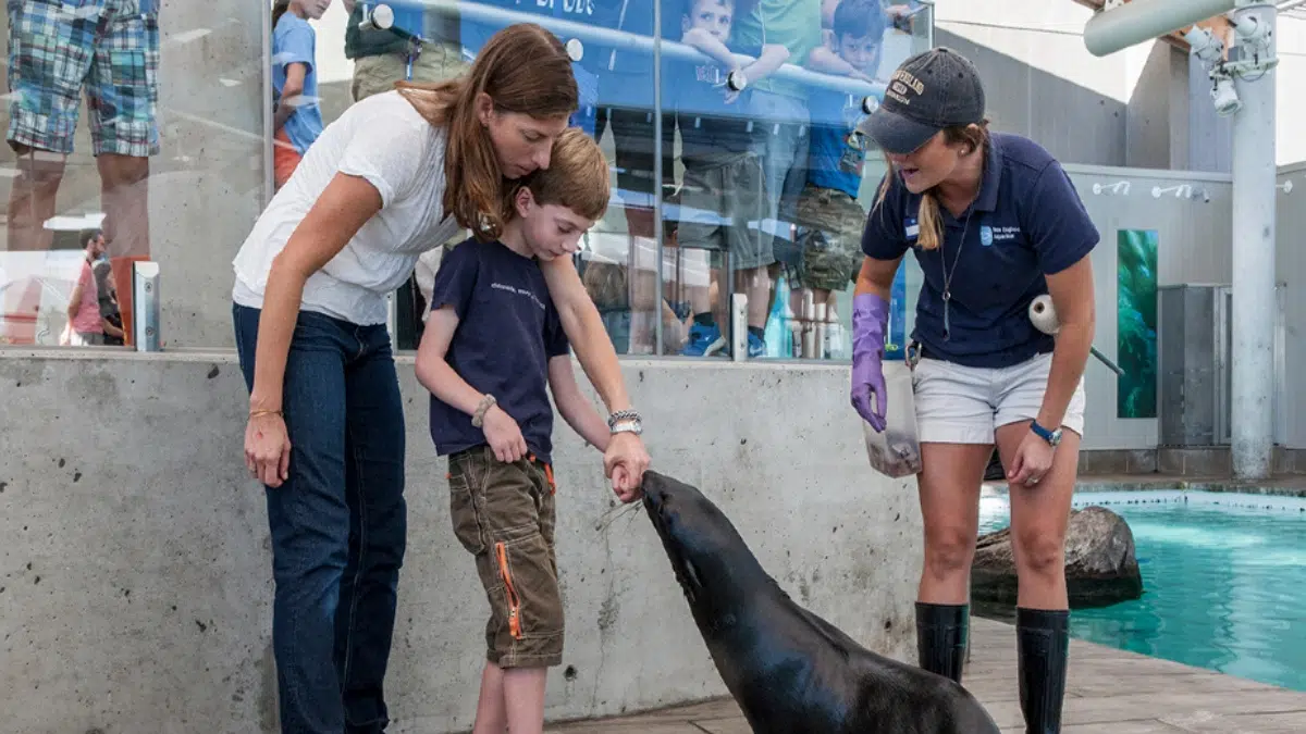 Encuentro con animales