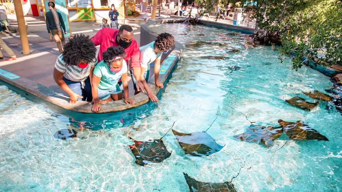 Cupón de membresía del Acuario del Pacífico
