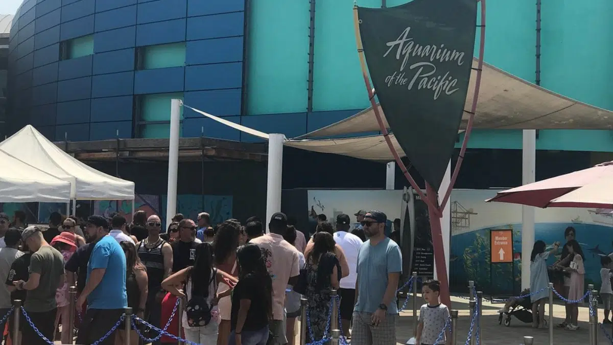 Entrada sin colas para el Acuario del Pacífico