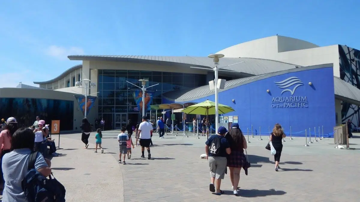 Horario de apertura del Acuario del Pacífico