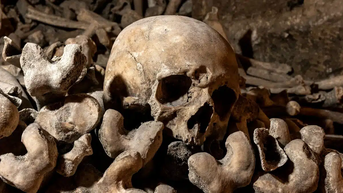 Paris Catacombs History Beneath the City of Light